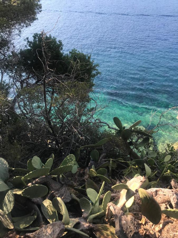 Appartamento Il PolpoLeo in Porto Azzurro Isola d'Elba Esterno foto